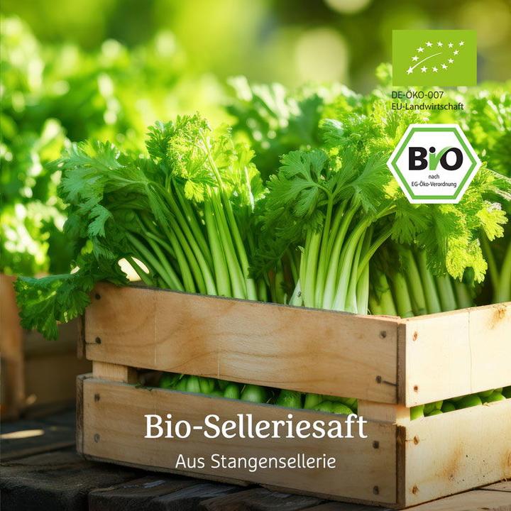 Actual product image Effective Nature Organic celery juice
