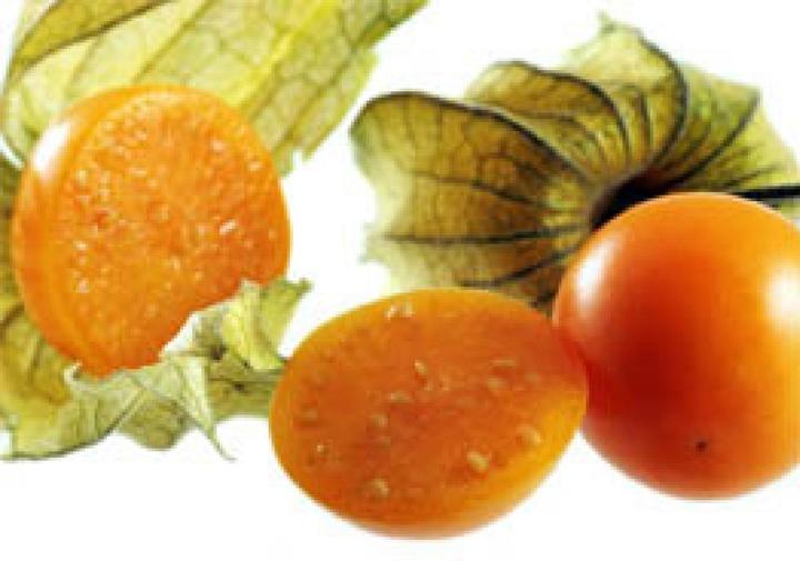 Immagine prodotto Sativa Bacca andina Schönbrunn Oro (Semi di piante)