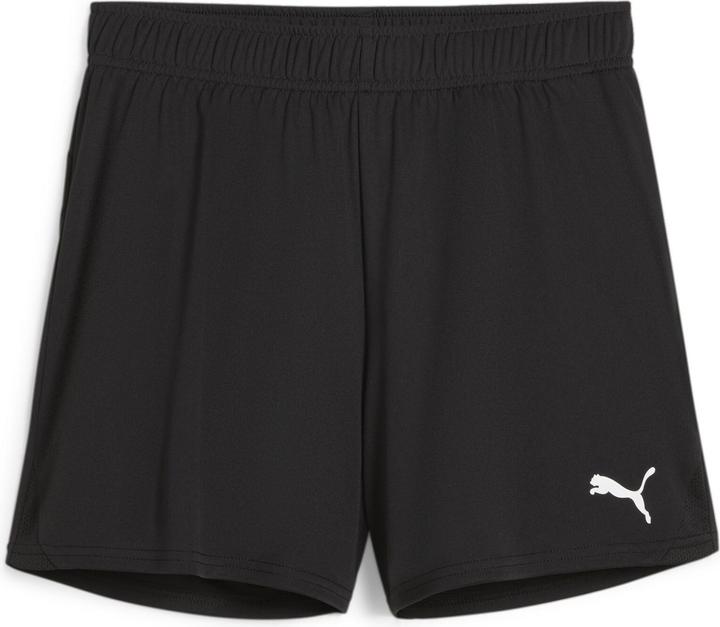 Puma teamGOAL Handball Shorts W