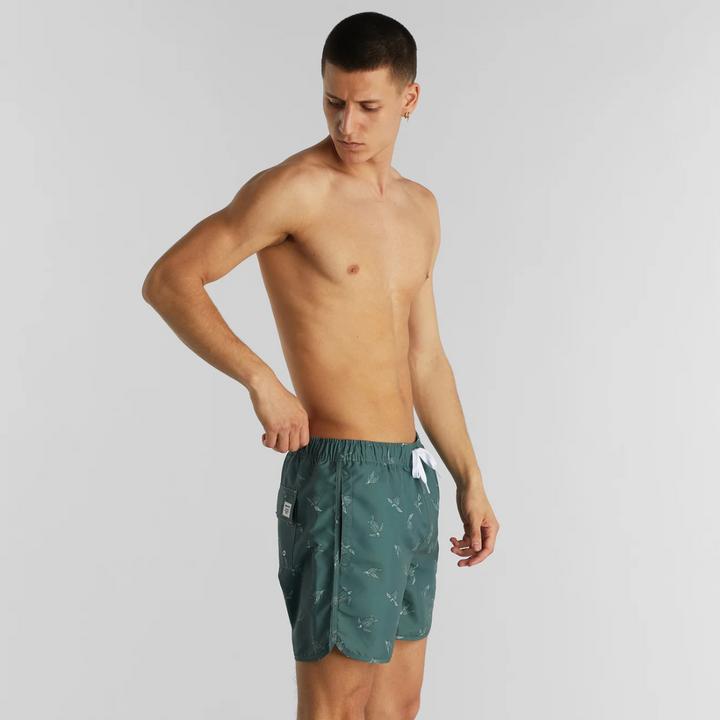 Produktbild Dedicated Swim Shorts Sandhamn Sea Turtles Forest Green XL (XL)