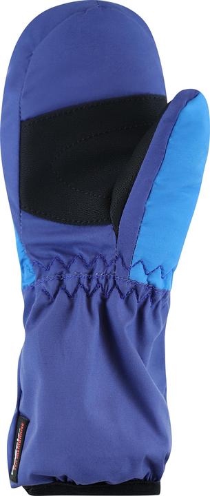 nordic blue