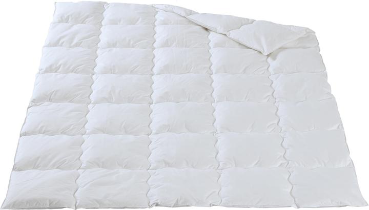 Produktbild DOR Swiss (1230 g, 240 x 240 cm)
