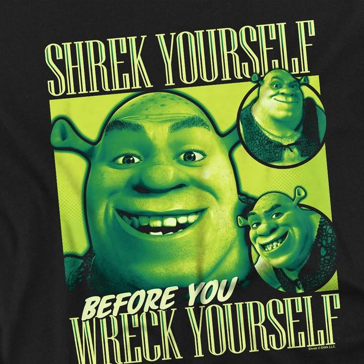 Actual product image Shrek Mens Yourself Bootleg T-Shirt (3XL)