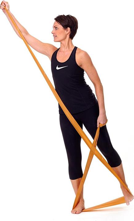 Immagine prodotto TheraBand Fascia per esercizi (22 m, Special Strong)