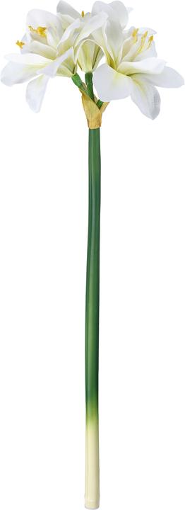 Image du produit EGLO LIVING Molave (63 cm)