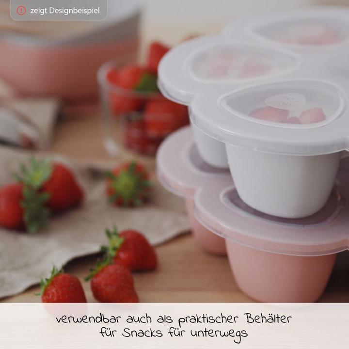 Actual product image Beaba Multiportions