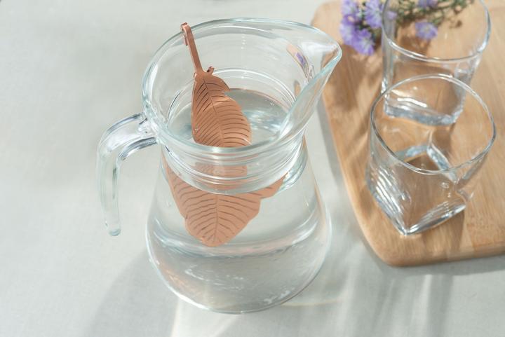 Actual product image Forrest & Love Copper infuser spring