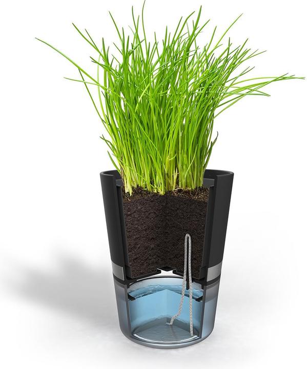 Immagine prodotto GEFU Botanico (14.20 cm)