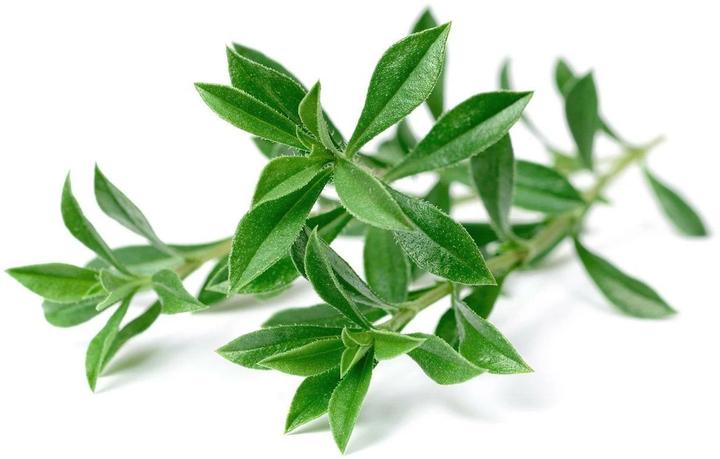 Image du produit Click and Grow Semences de sarriette des montagnes, paquet de 3 (Graines d'herbes aromatiques)