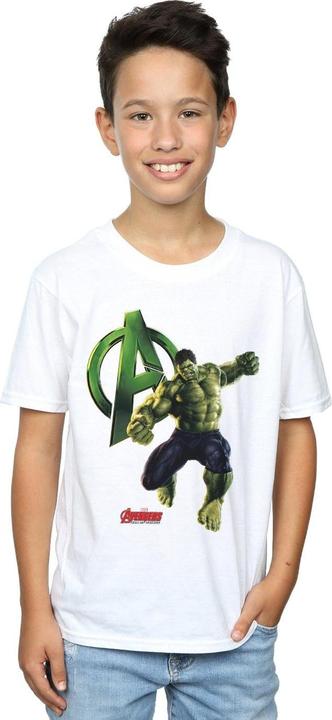 Actual product image Hulk Boys Pose T-Shirt (128)