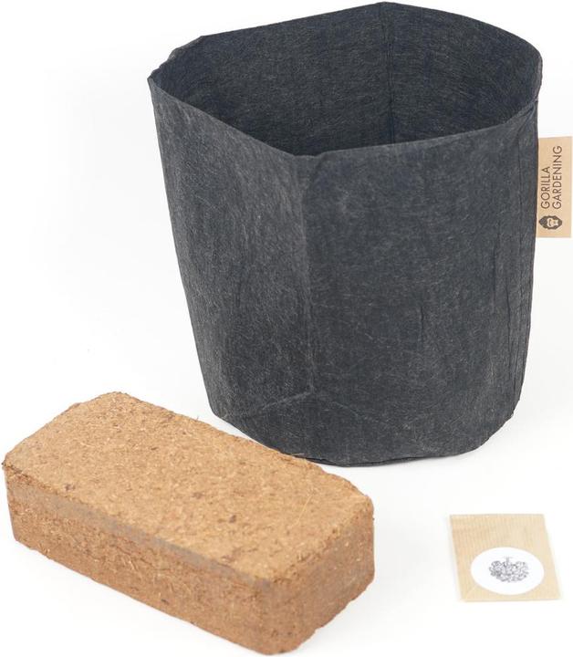 Produktbild Gorilla Gardening Federkohl Pflanzsack (Gemüsesamen)