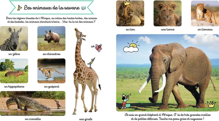 Immagine prodotto Larousse jeunesse Le grand imagier des animaux à toucher (Francese, Collettività, 2022)
