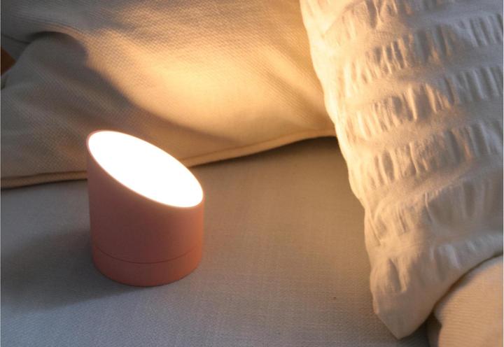 Actual product image Gingko edge light