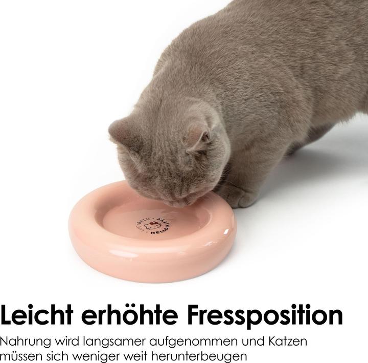 Immagine prodotto LucyBalu DROP Katzennapf - Hello Kitty Edition