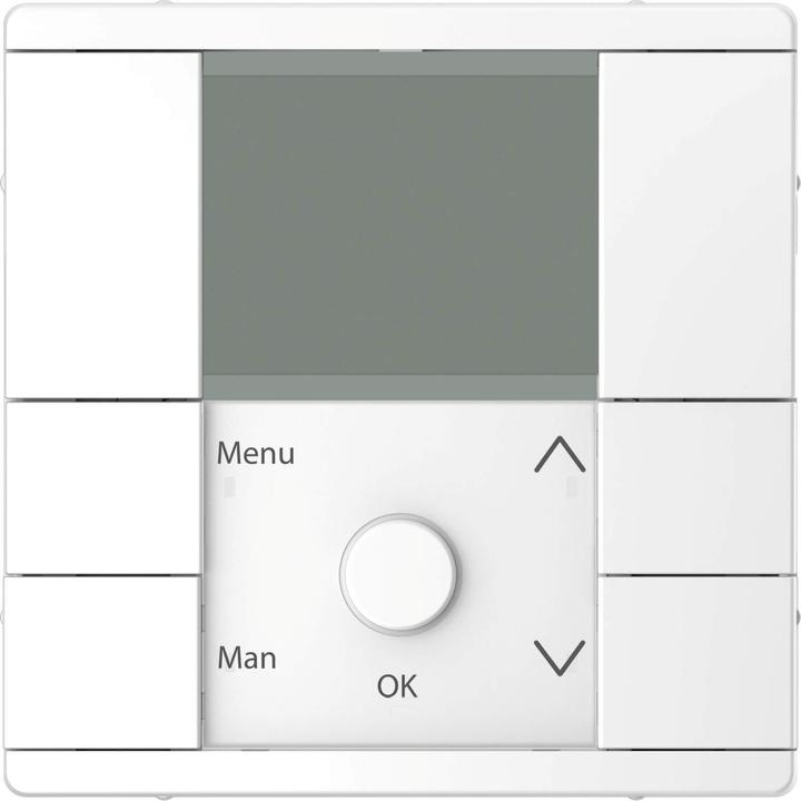 Actual product image Merten Timer module lotus white MEG5755-6035