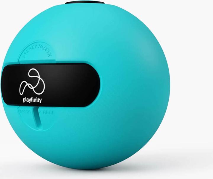 Actual product image Playfinity SmartBall Bouncy Ball