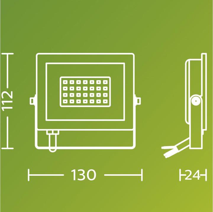 Image du produit Philips Outdoor Flutlicht Lois (2050 lm, IP65)