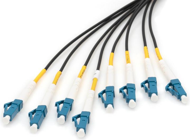 Immagine prodotto Digitus Cavo breakout universale in fibra ottica dotato di terminali, Multimode OS2, 8 fibre, LC/UPC - LC/UP (UTP, CAT6, 50 m)