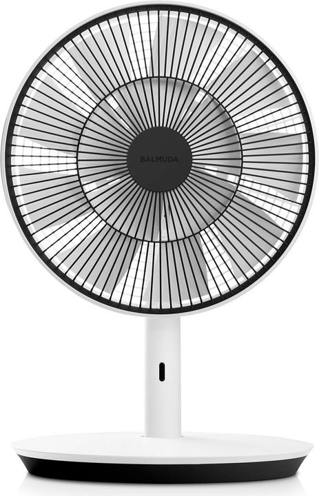 Actual product image Balmuda The Green Fan (13 dB)