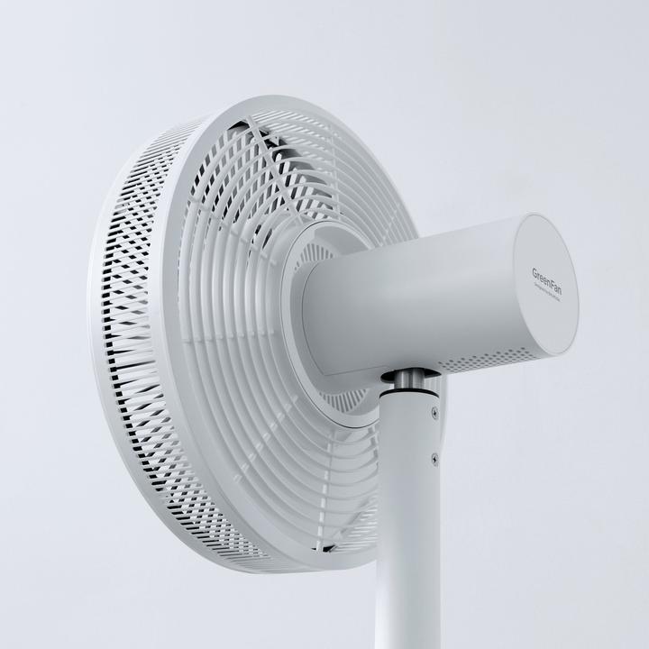 Actual product image Balmuda The Green Fan (13 dB)