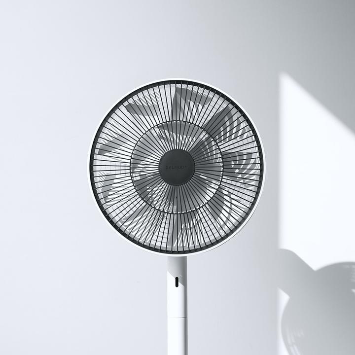 Actual product image Balmuda The Green Fan (13 dB)