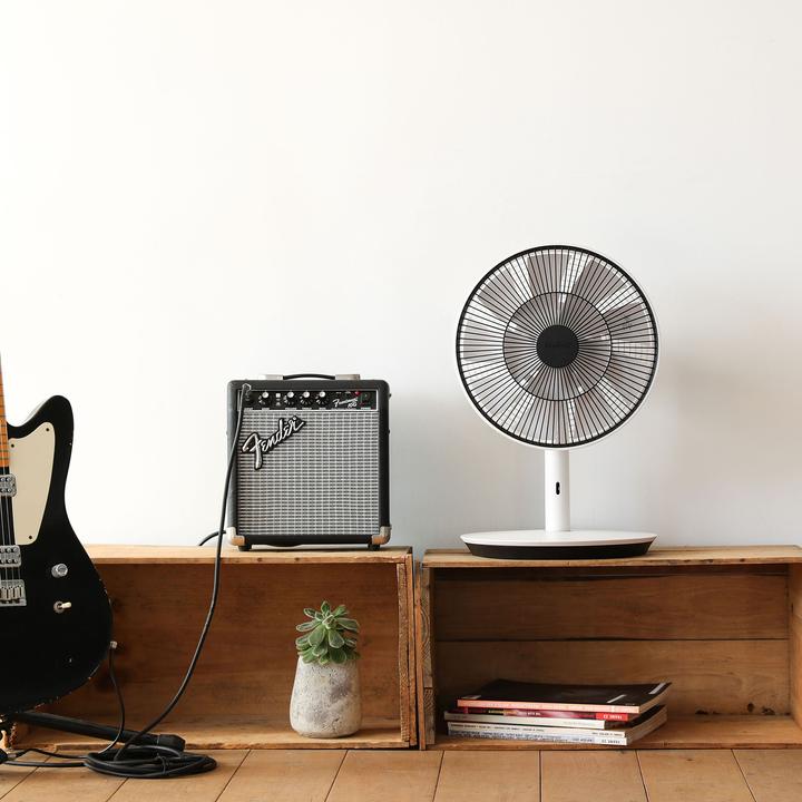 Actual product image Balmuda The Green Fan (13 dB)