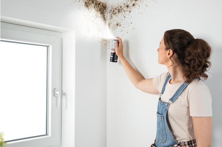 Produktbild Schimmelschock Schimmelspray