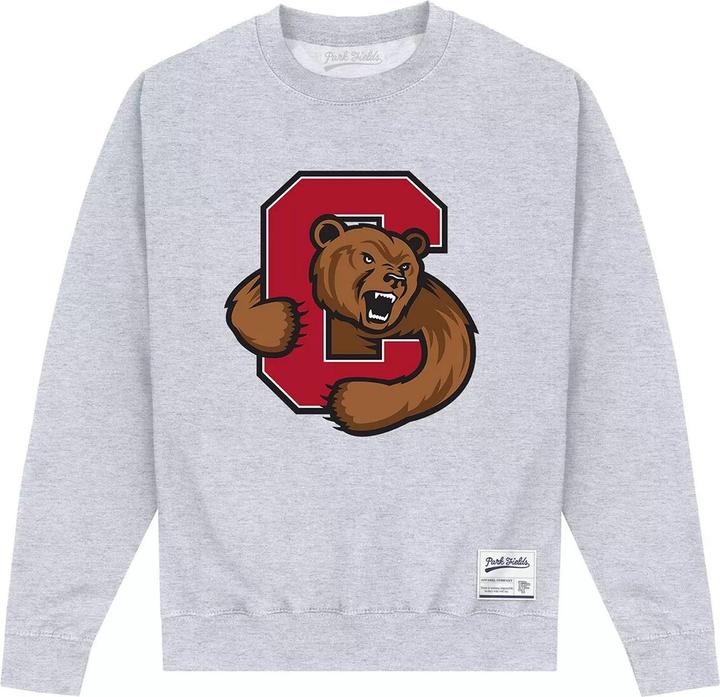 Produktbild Sweatshirt (XL)