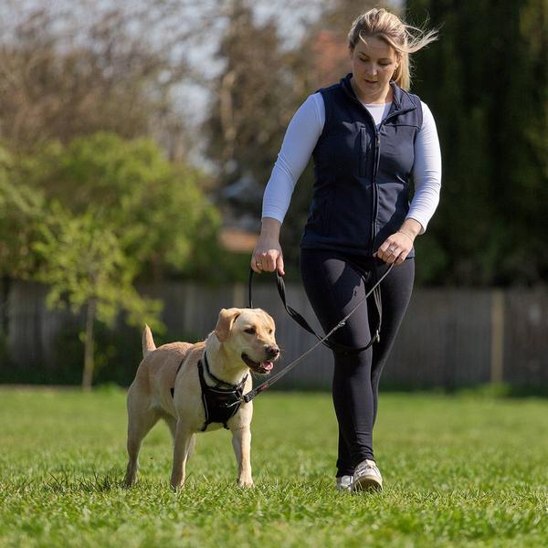 Actual product image Halti No Pull Geschirr (XS, Dog, Dog sport)