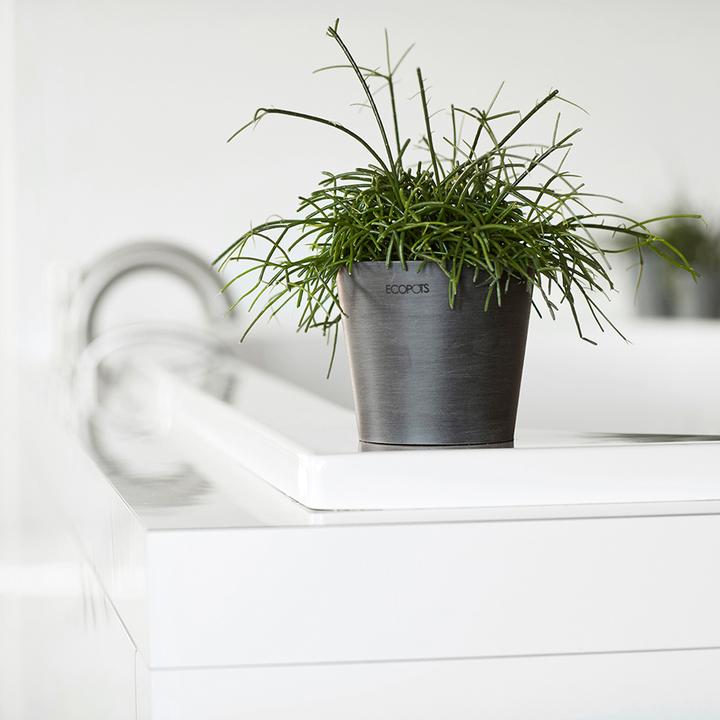 Actual product image Ecopots Amsterdam Mini (17 cm)