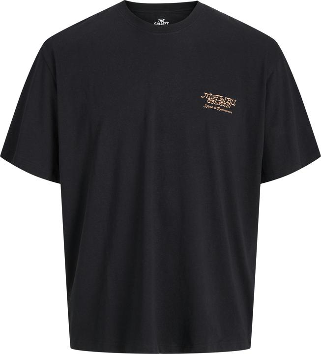 Jack & Jones Jorbotaniq Tee Ss Crew Neck Tg Ln