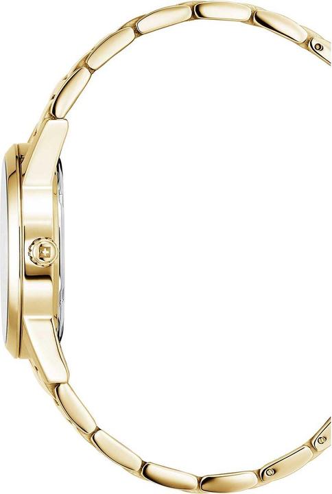 Immagine prodotto Swiss Alpine Military 7767.1115 Argos (Fatto in Svizzera, 34 mm)