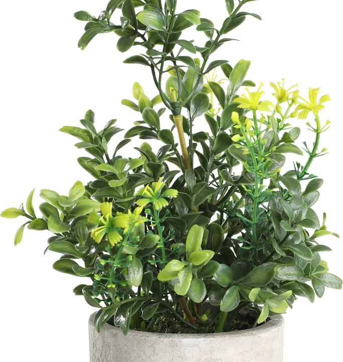 Actual product image EGLO LIVING Chitose (25 cm)