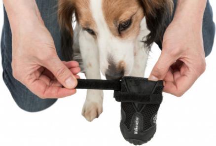 Actual product image Trixie Paw protector Walker Active Gr.L (L, Dog boots)