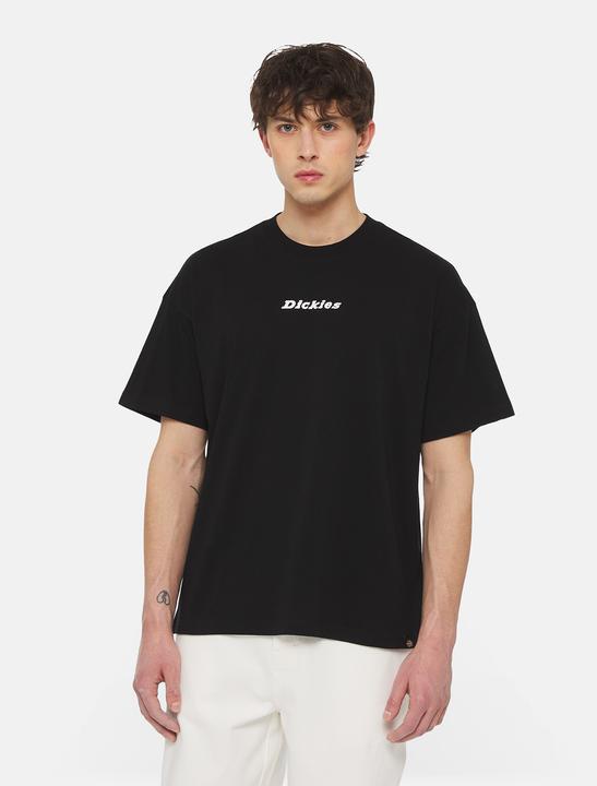 Produktbild Dickies Enterprise Tee Ss (M, L)