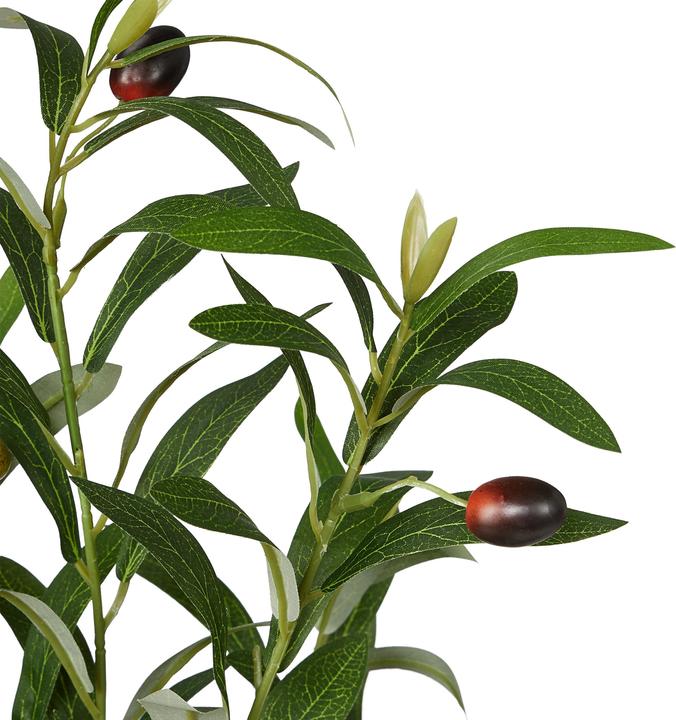 Produktbild Relaxdays Olivenbaum (90 cm)