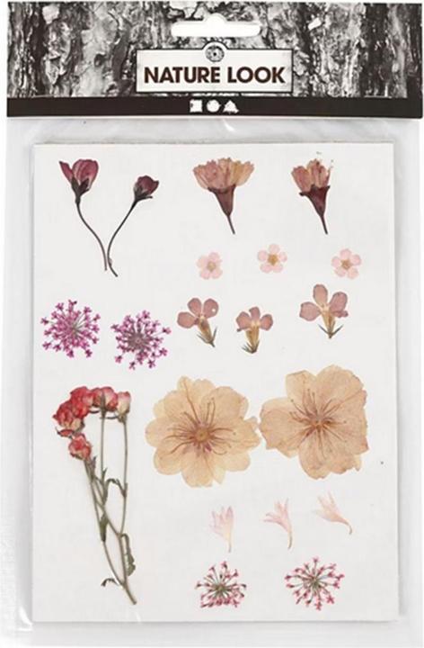 Actual product image Creativ Company Pressed (Dried flowers)