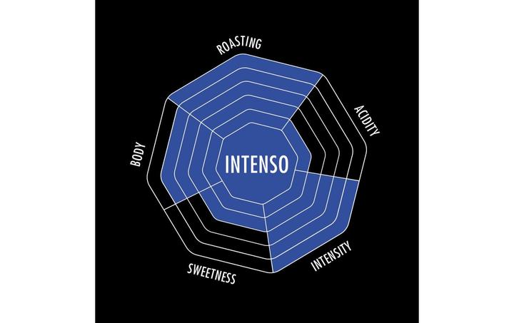 Actual product image Bialetti Intenso (560 g, Dark roast)