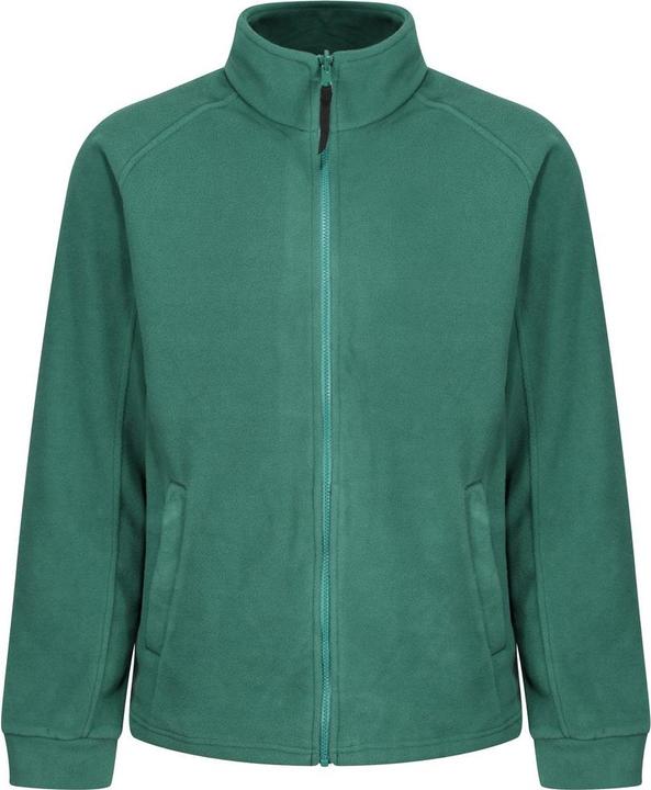 verde bottiglia