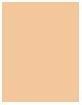 Produktbild Shiseido Synchro Skin Rad Lifting Fond de Teint No 230 (230 Alder)