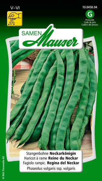 Actual product image Samen Mauser pole bean Neckar Queen (Vegetable seeds)