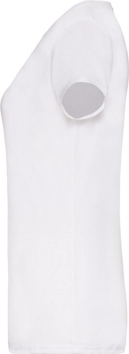 Actual product image Fruit of the Loom Womens/Ladies V Neck Lady Fit T-Shirt (S)