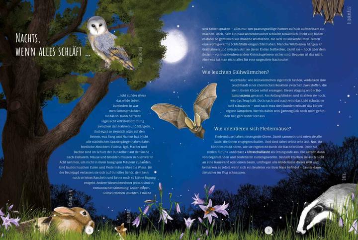 Immagine prodotto Die Wildwiese (Tedesco, Annette Zacharias, Angelika Huber-Janisch, 2022)