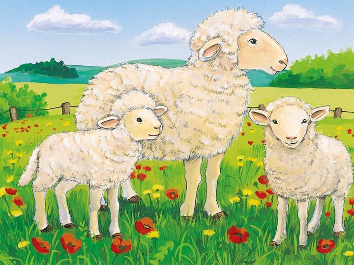 Image du produit Ravensburger Puzzle à cubes Animaux de la ferme (12 pièces)