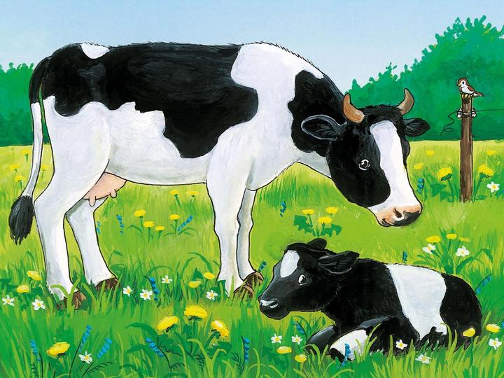 Image du produit Ravensburger Puzzle à cubes Animaux de la ferme (12 pièces)