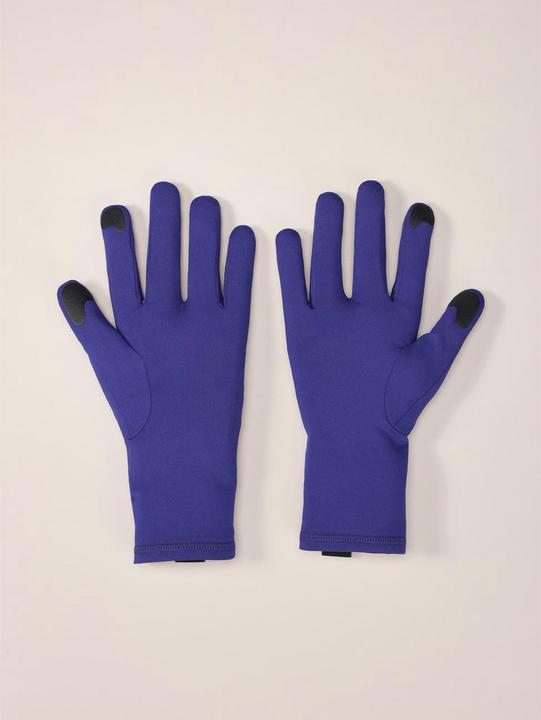 Image du produit Arc'teryx Rho (L)