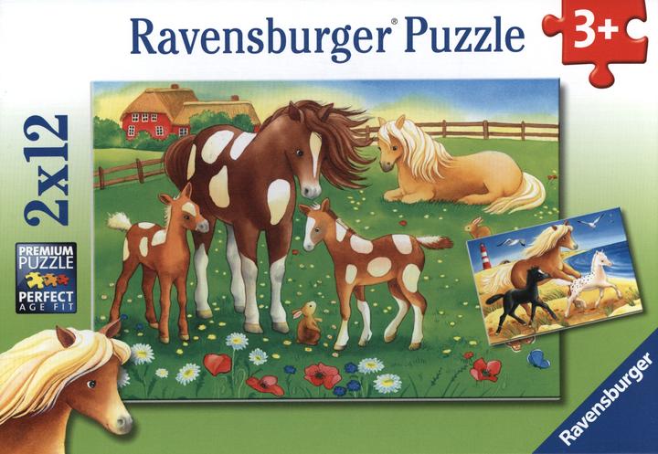 Image du produit Ravensburger Crinières flottantes 2x (12 pièces)