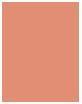 Image du produit Clinique Blush (102 - une pêche innocente)