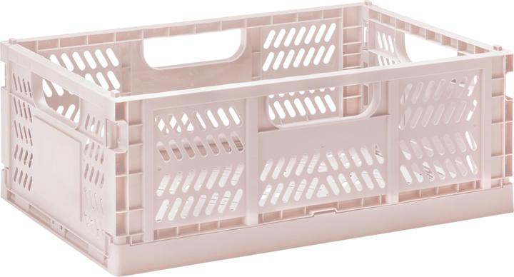 Actual product image 3 Sprouts Box