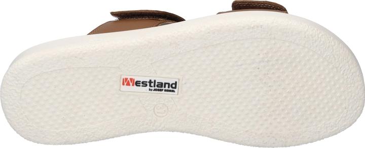 Image du produit Westland 25403-409 (37)